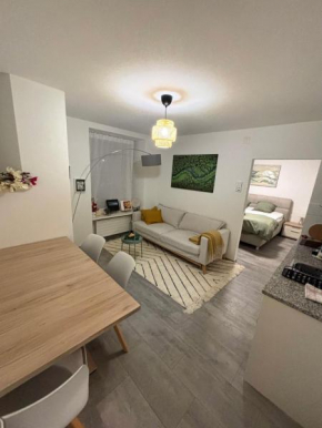Top Apartment in Center of Zurich